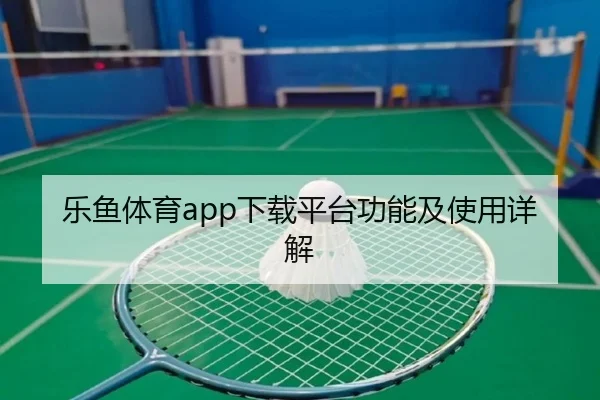 乐鱼体育app下载平台功能及使用详解