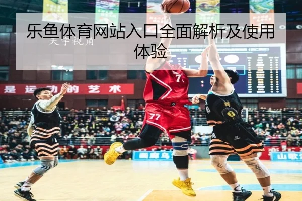 乐鱼体育网站入口全面解析及使用体验