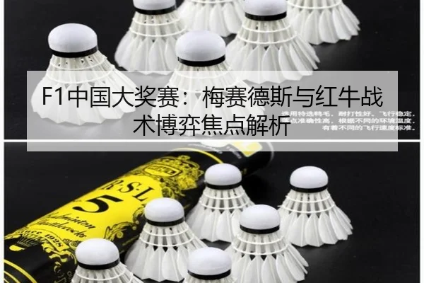 F1中国大奖赛：梅赛德斯与红牛战术博弈焦点解析