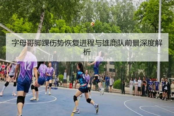 字母哥脚踝伤势恢复进程与雄鹿队前景深度解析